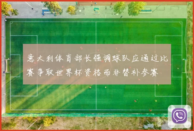 意大利体育部长强调球队应通过比赛争取世界杯资格而非替补参赛