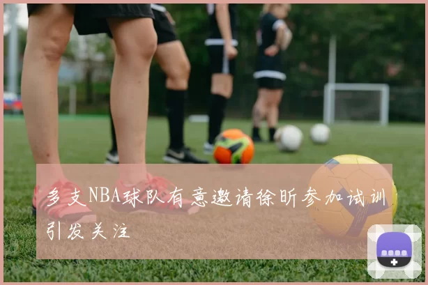 多支NBA球队有意邀请徐昕参加试训引发关注