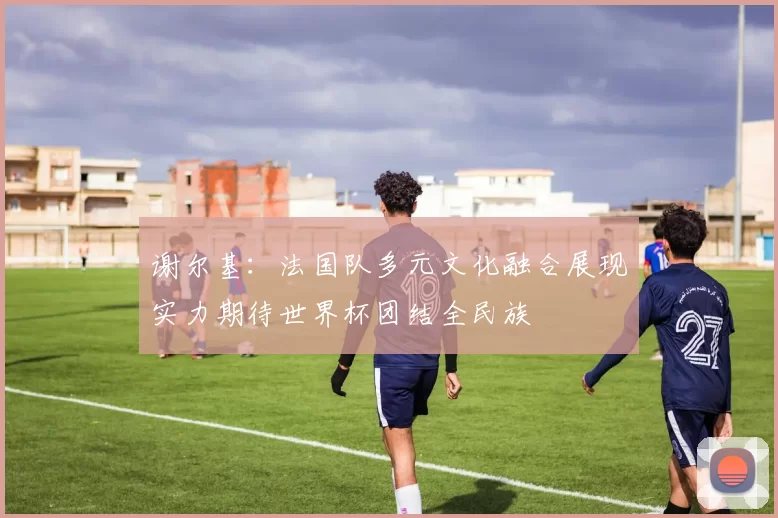 谢尔基：法国队多元文化融合展现实力期待世界杯团结全民族